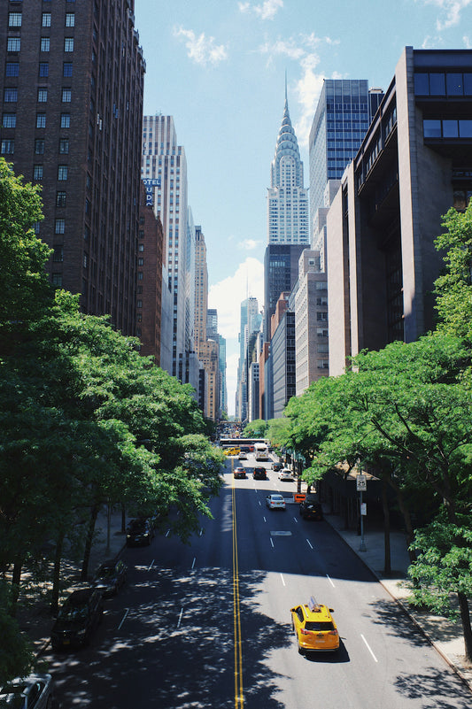 Top Brazilian Jiu-Jitsu Gyms in New York City, NY